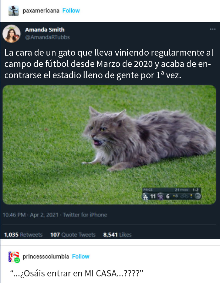 Okupas todos
