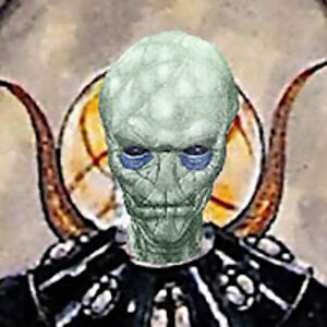 reidenarcani avatar