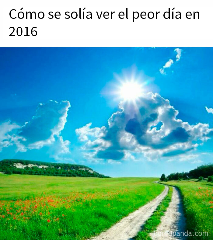 Cielo soleado sobre un campo verde, ejemplificando un día perfecto con humor sarcástico.