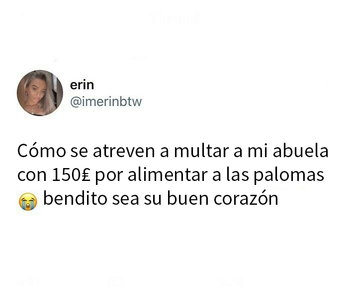 Meme divertido que refleja el humor británico sobre multas y la ternura de alimentar palomas en ciudad.