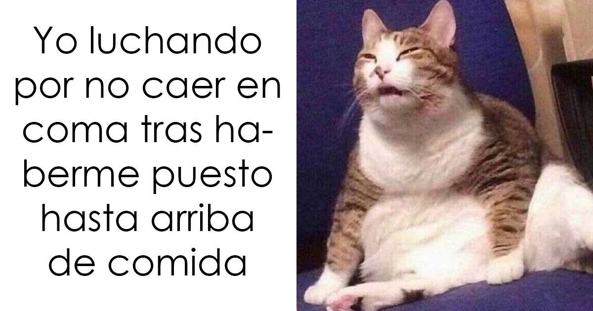 20 Divertidos memes dedicados enteramente a la comida