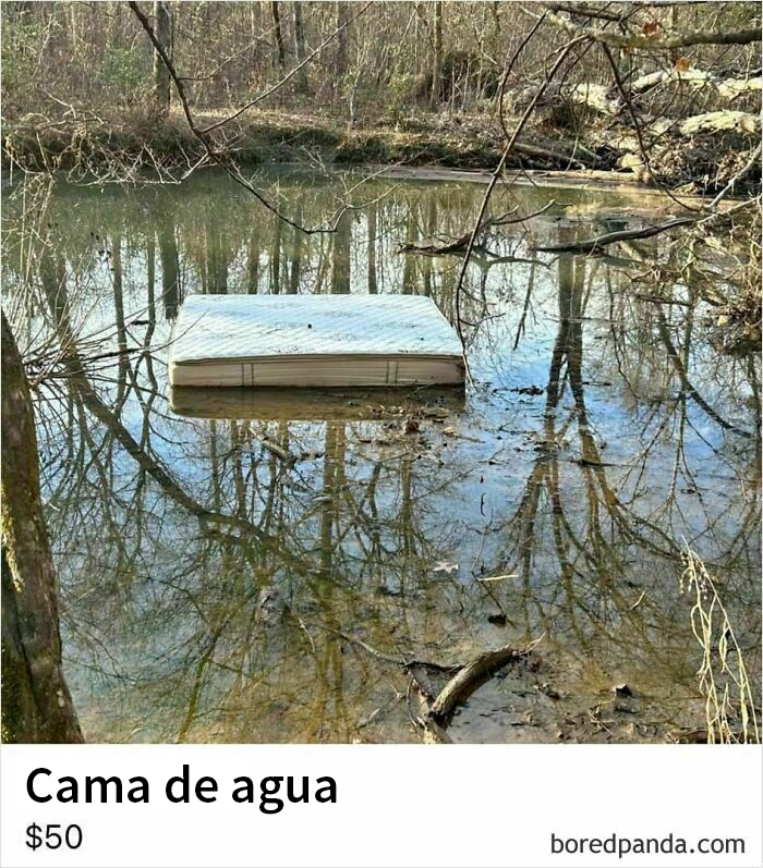 Colchón flotando en un estanque, un ejemplo de cosas raras en venta online.