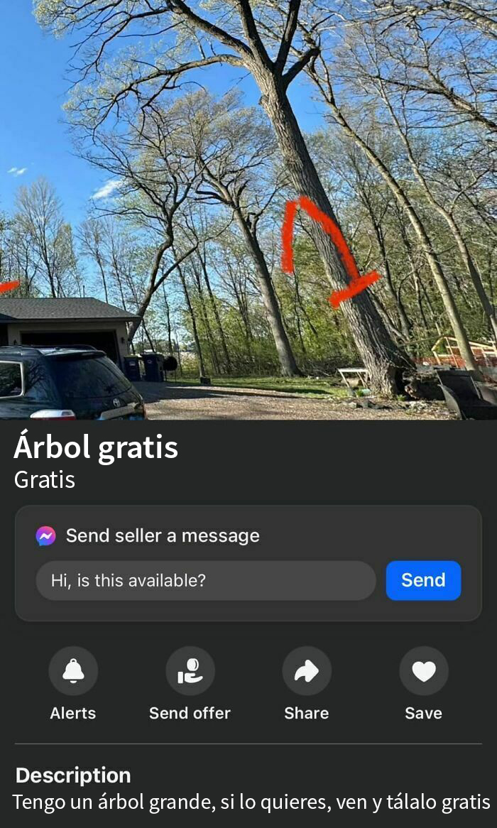 Árbol grande en venta en Facebook Marketplace, con oferta para talarlo gratis.