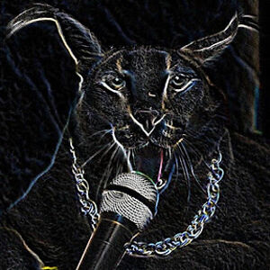 wewerwebsus avatar