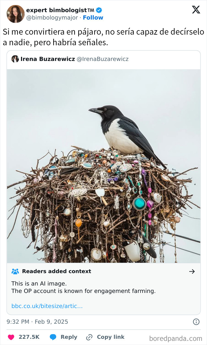 Pájaro posado en un nido decorado con joyas, ejemplo de memes contra la humanidad.