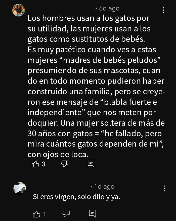 Comentarios sobre mujeres y gatos en una discusión en redes sociales.