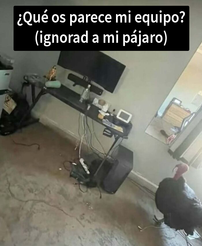 Espacio desordenado con equipo de computadora y un pavo real, ejemplificando publicaciones que provocan mucha vergüenza ajena.