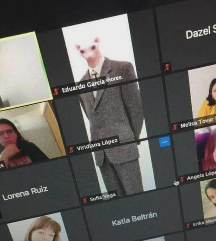 Persona en videollamada con filtro de animal y traje, imagen curiosa entre personas que menos mal hicieron una foto.