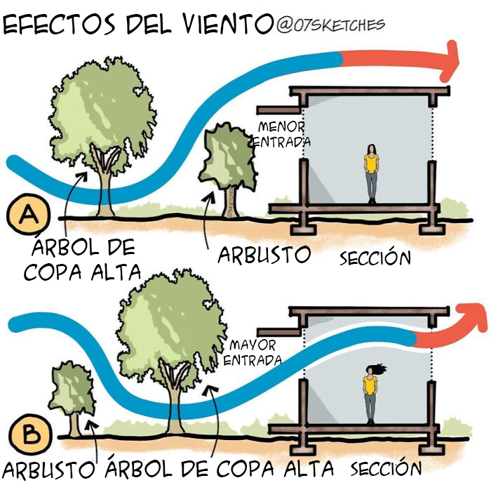 Diagrama sobre efectos del viento con árboles y arbustos para optimizar la entrada de aire en construcciones según guías geniales.
