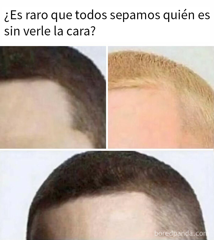 Detalles de memes sobre hombres con diferentes estilos de cabello, mostrando familiaridad universal en situaciones cómicas.