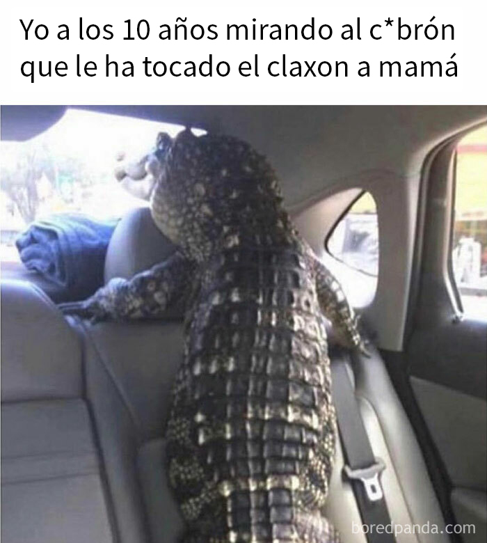 Cocodrilo dentro de un coche mirando por la ventana, en meme relacionado con hombres universalmente familiares.