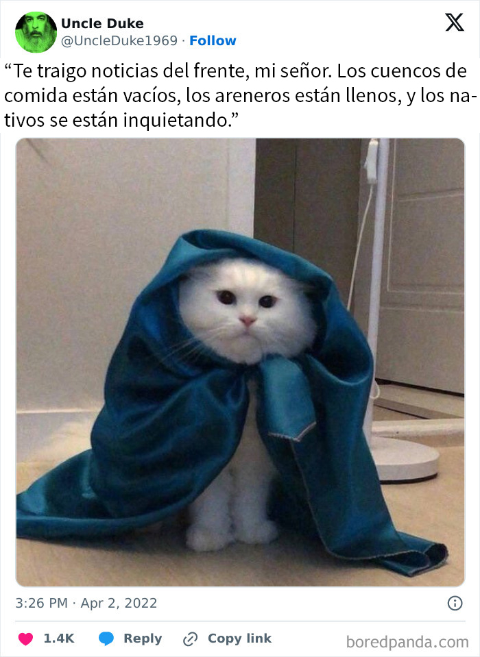 Gato con capa azul en meme divertido sobre cosas de la vida para alegrar el día con humor y ternura.