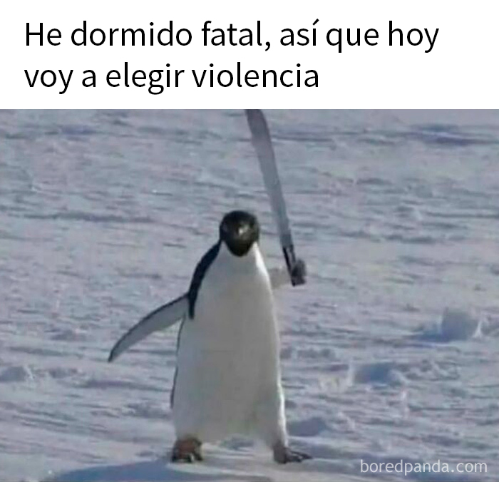 Pingüino con sable en la nieve con texto sobre memes aleatorios divertidos e ingeniosos en español.