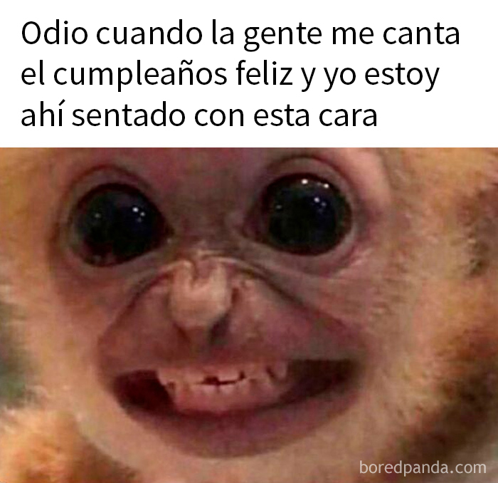 Mono con expresión incómoda y texto divertido sobre cumpleaños como ejemplo de memes aleatorios ingeniosos y divertidos.