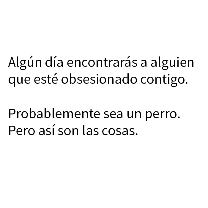 Texto humorístico en meme aleatorio que muestra frase divertida sobre obsesión y perros en fondo blanco simple.
