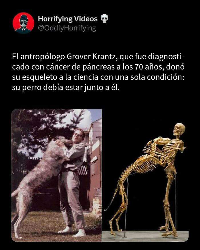 Hombre abrazando a un perro grande y sus esqueletos juntos, imagen extrañamente aterradora que genera inquietud.
