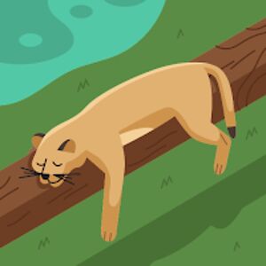 zoy avatar