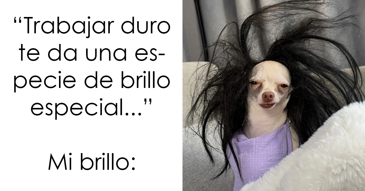 20 Divertidas publicaciones que se burlan de todo y de todos