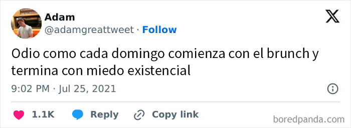 Memes divertidos con texto sobre el odio a los domingos y miedo existencial para olvidar la tristeza.