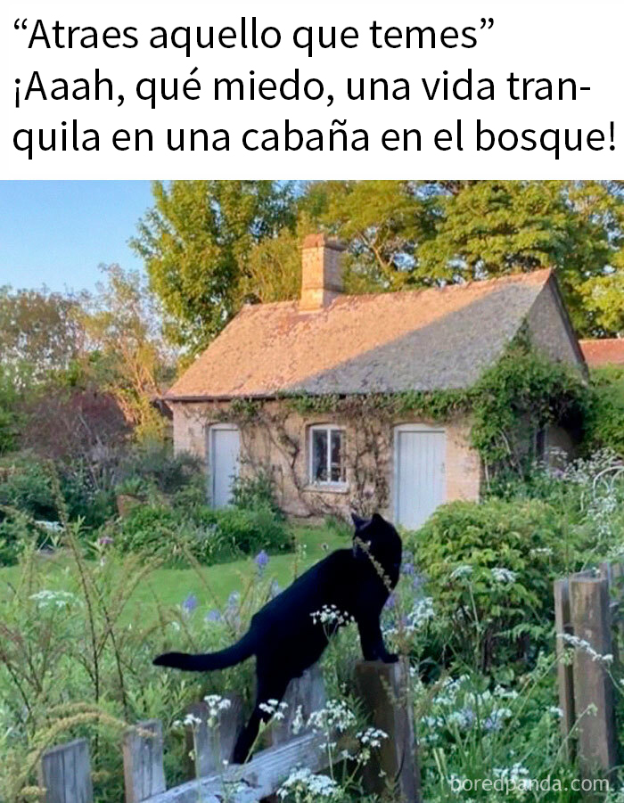 Memes divertidos para introvertidos con imagen de cabaña en el bosque y gato negro en el jardín.
