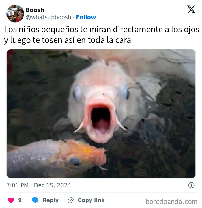 Peces en un estanque, uno con la boca abierta, representando memes divertidos con sarcasmo para fans del humor irónico.