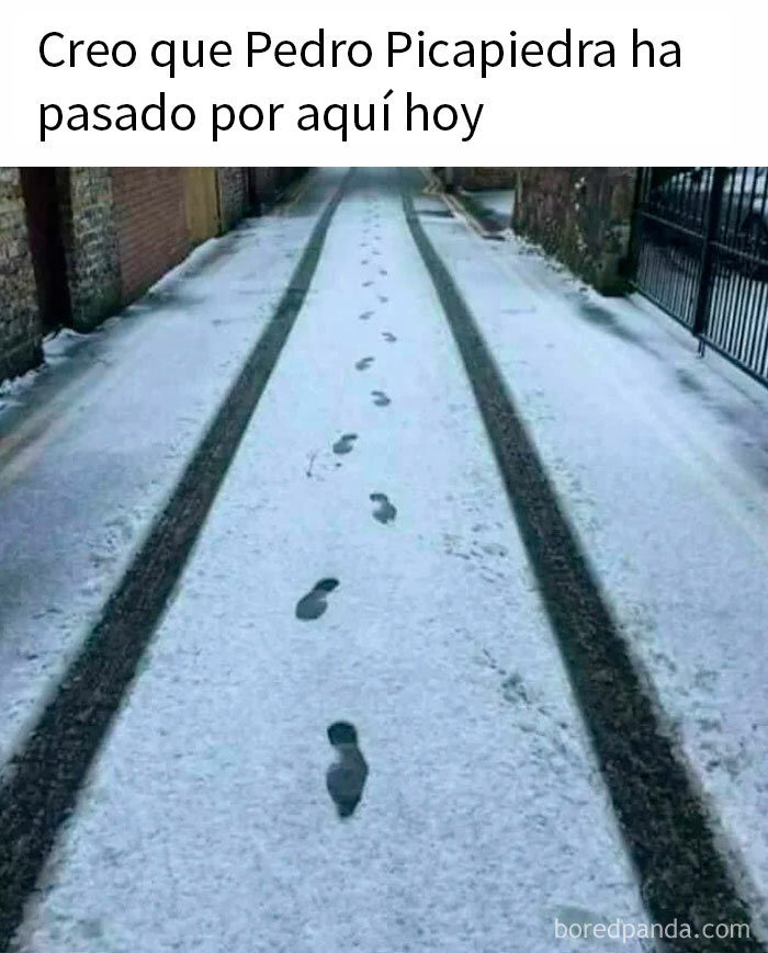 Paso de huellas humanas en nieve con pistas de neumáticos, ejemplo gracioso para memes divertidos sobre estupidez humana.