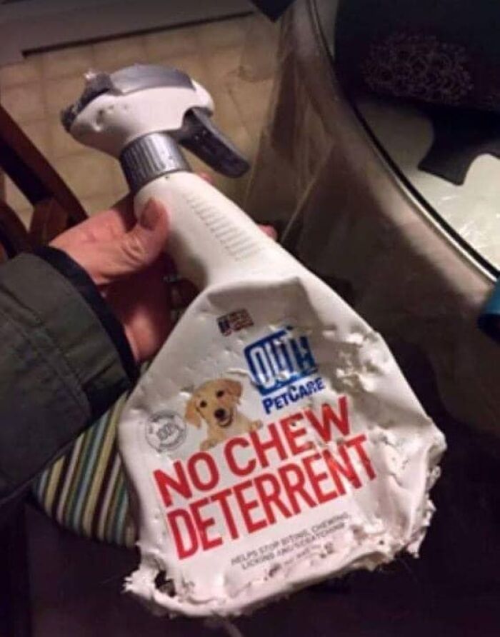 Envase mordido de repelente para perros en mano, imagen divertida y sarcástica para memes en página especializada.
