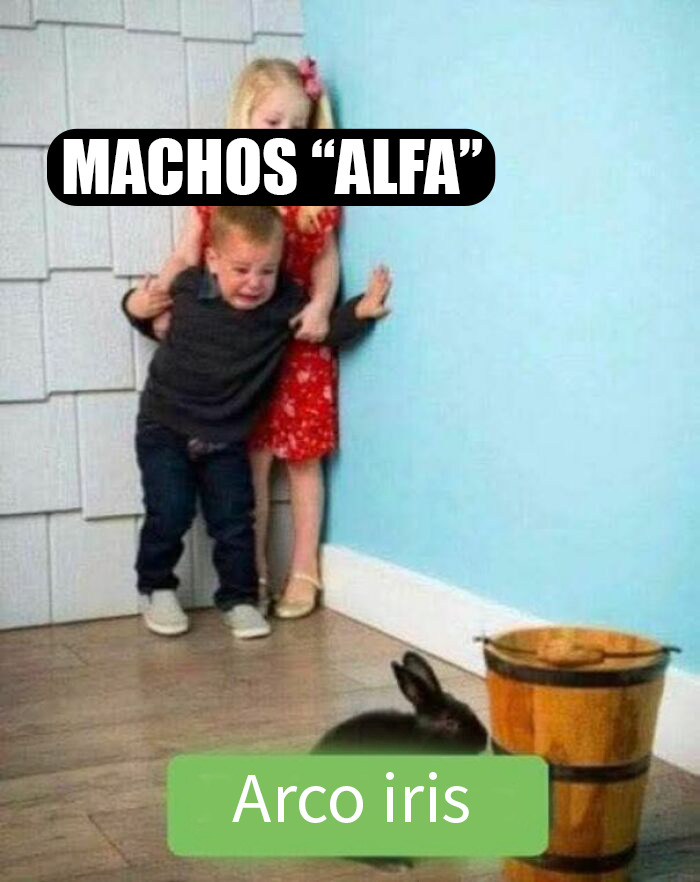 Niño asustado protegido por niña con texto meme sobre machos alfa, imagen usada para memes impactantes con humor y crudas verdades.
