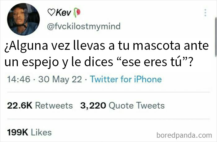 Captura de pantalla inusual de un tuit que pregunta sobre llevar a la mascota ante un espejo sorprendiéndola.