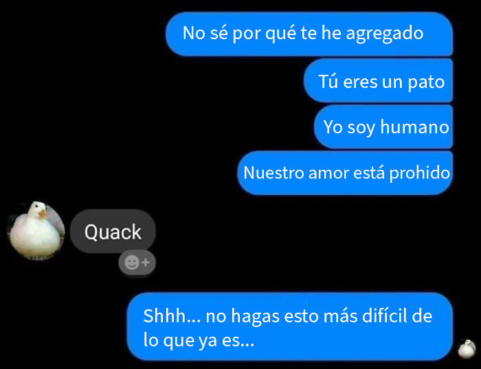 Captura de pantalla inusual de conversación con mensaje de amor prohibido y respuesta con imagen de pato.