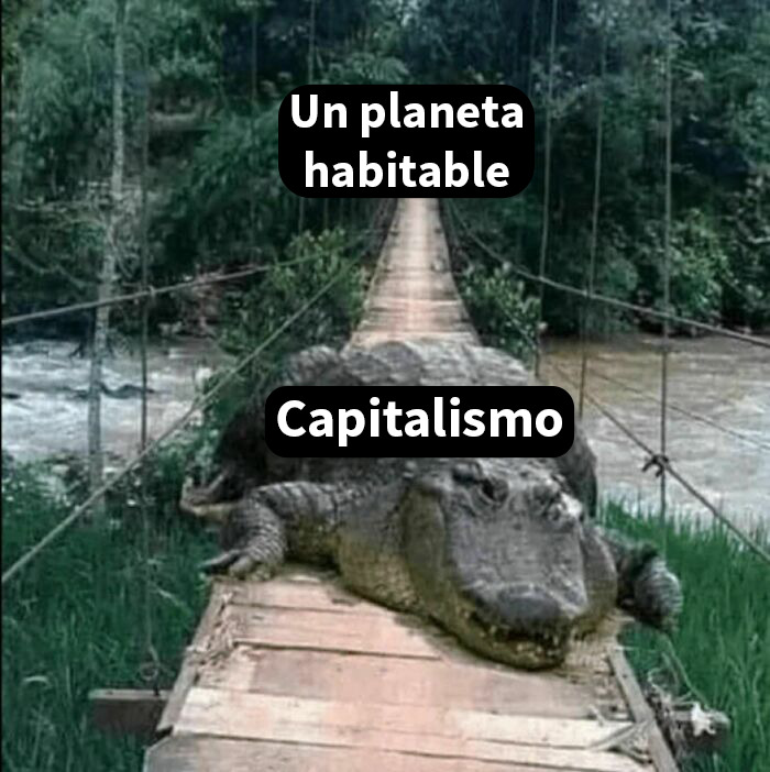 Cocodrilo bloqueando puente con texto sobre capitalismo y planeta habitable en meme impactante con humor y crudas verdades.