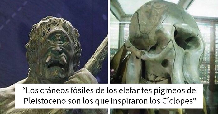 Cru00e1neos fu00f3siles y esculturas de elefantes pigmeos del Pleistoceno para los mu00e1s curiosos.