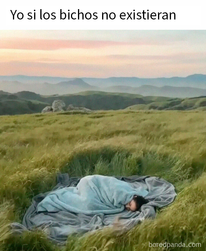 Persona envuelta en manta descansando en campo abierto, imagen incluída en memes aleatorios para risas y diversión.