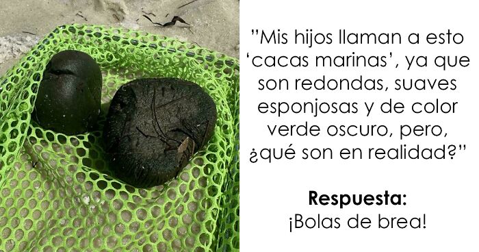 Bolas de brea verde oscuro sobre red verde, personas piden ayuda a Internet sin saber quu00e9 son realmente.
