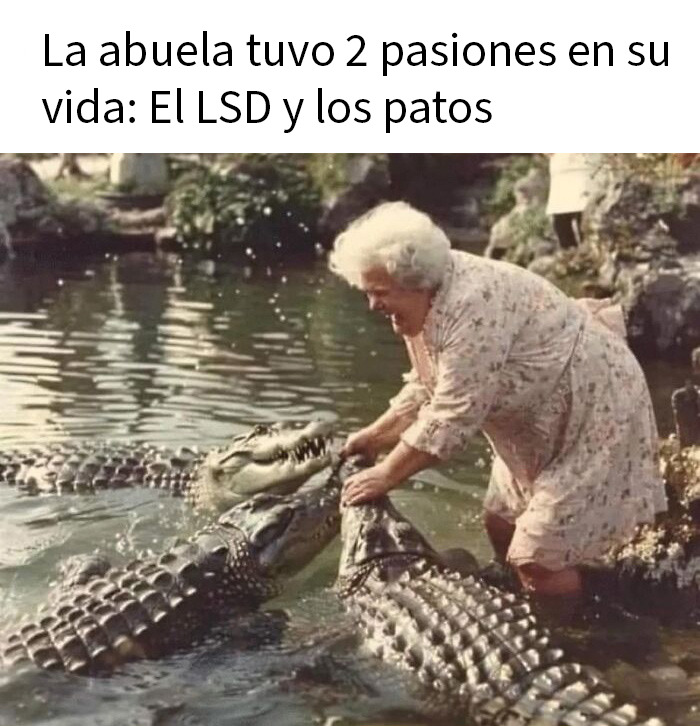 Anciana divertida alimentando cocodrilos en lago, imagen de memes divertidos y sarcásticos populares en internet.