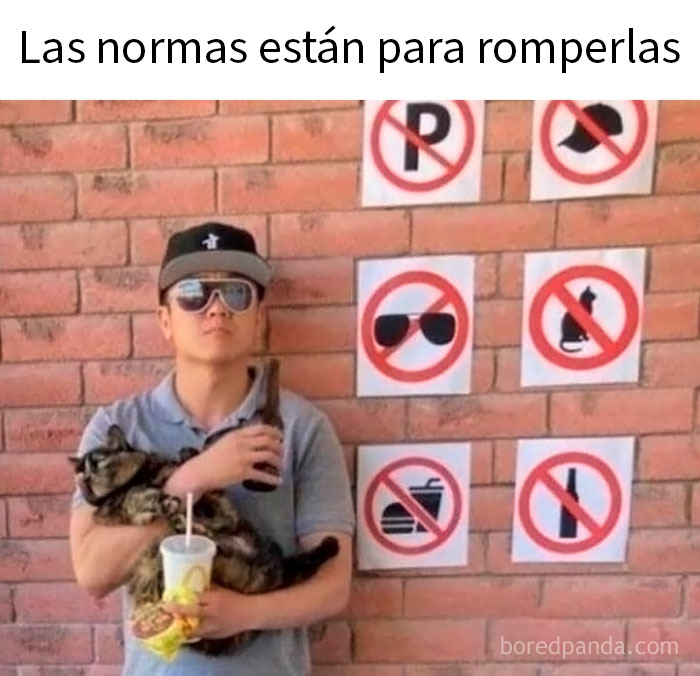Hombre sosteniendo un gato, bebida y comida frente a una pared con varias señales prohibidas en un meme sarcástico.