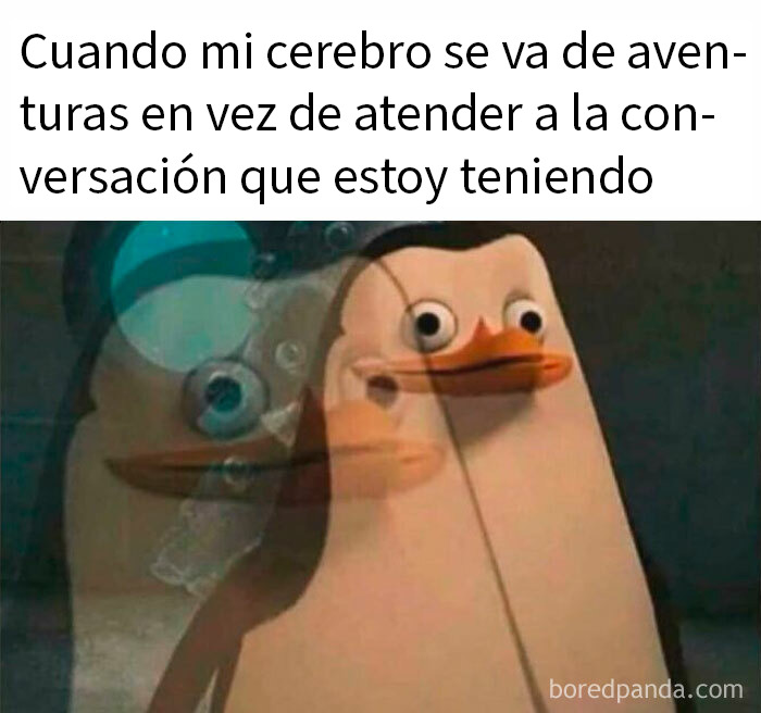 Pingüino con mirada distraída representando memes divertidos y situaciones familiares para discutir en terapia.