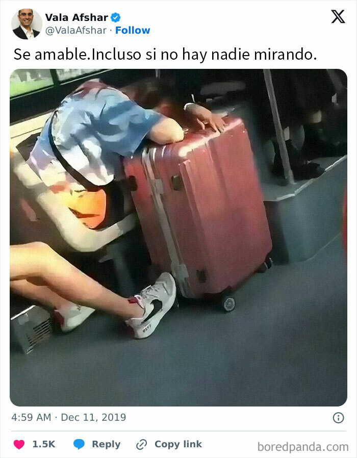 Persona descansando sobre maleta rosa en transporte público, imagen reconfortante para devolver la fe en la humanidad.