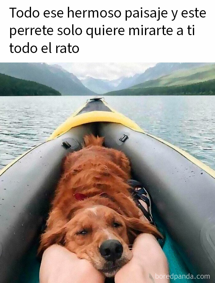 Perro acostado en kayak con paisaje natural de montaña y lago, meme reconfortante para devolver la fe en la humanidad.