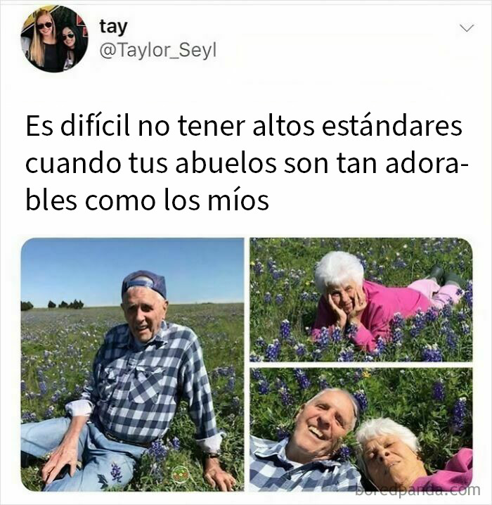 Abuelos adorables en campo con flores, ejemplo de memes reconfortantes para devolver la fe en la humanidad.