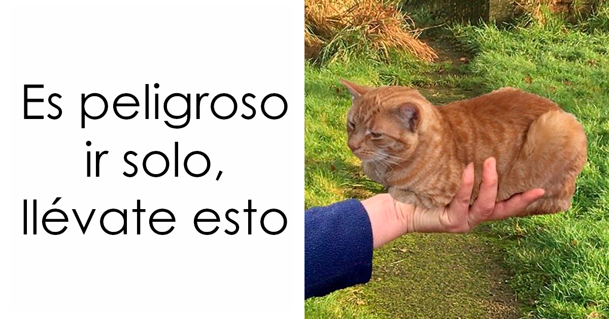 20 Memes reconfortantes para devolverte la fe en la humanidad
