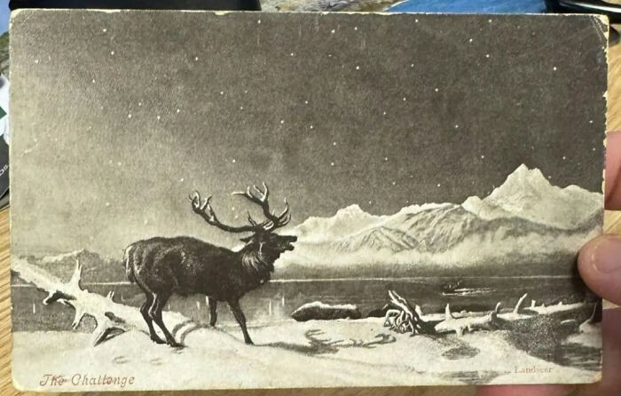 Ilustración histórica de un alce en paisaje nevado con montañas y estrellas, datos históricos interesantes.