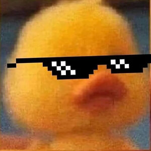 pllorente avatar