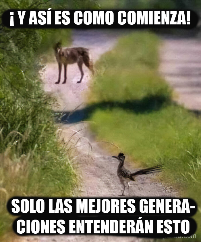 Correcaminos y coyote en camino rural, representando publicaciones sobre los años 80 y partes de vidas que ya no existen.