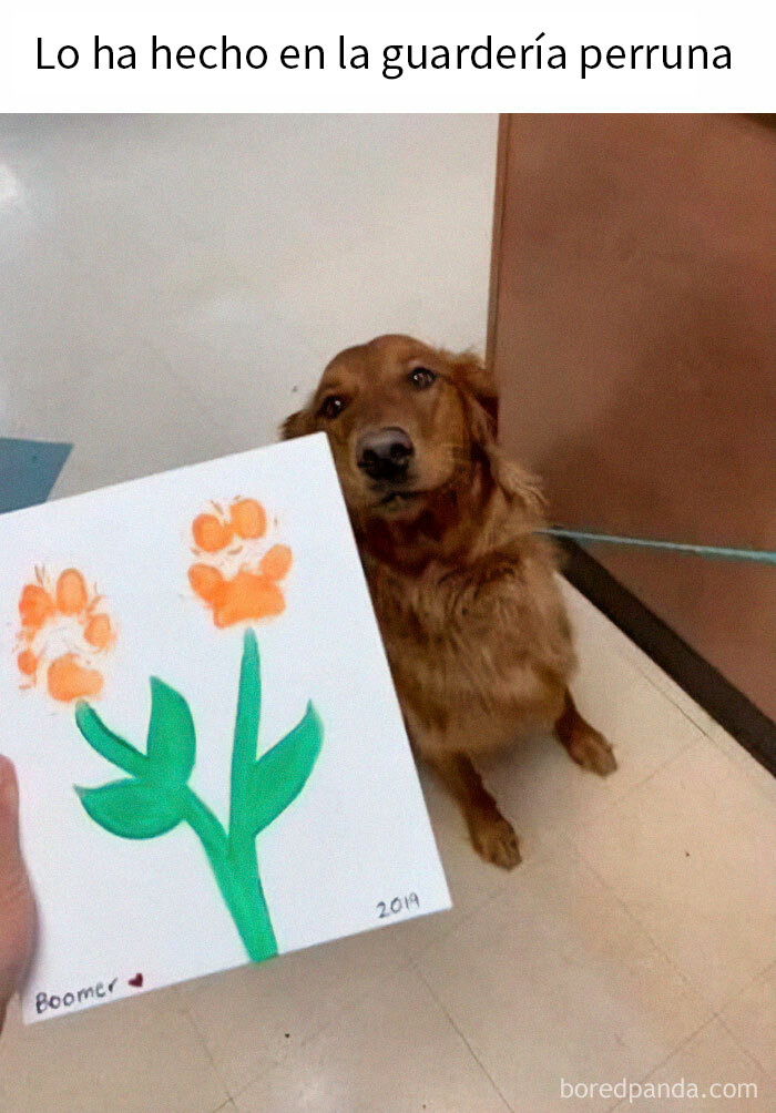 Perro mostrando dibujo con huellas de patas como flores, en un divertido meme de animales encantadores.