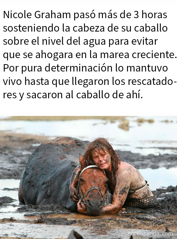 Mujer sostiene a caballo atrapado en el barro, mostrando valentía y ternura en encantadores memes de animales.