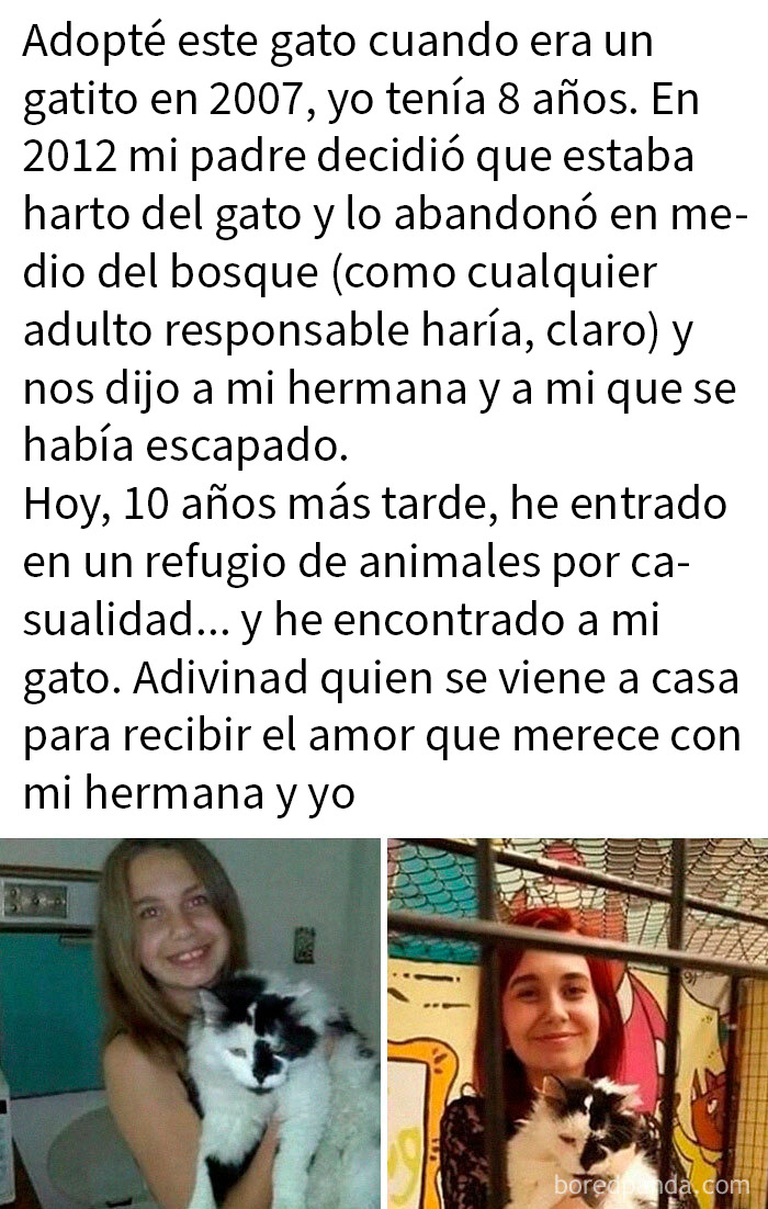 Niña y mujer sosteniendo un gato blanco y negro en refugio de animales, emotivo meme de animales para alegrar el día.