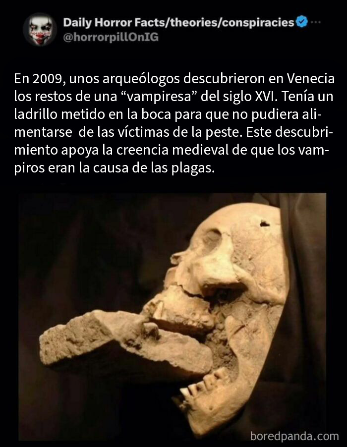 Craneo con ladrillo en la boca, descubierto en Venecia, relacionado con datos e historias terroríficas sobre vampiros y la peste.