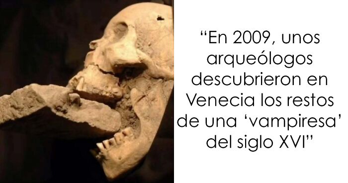 Cru00e1neo antiguo con restos de vampiresa del siglo XVI, ilustrando datos e historias terroru00edficas para no leer antes de dormir.