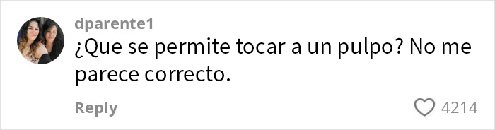 Comentario de usuario cuestionando si está permitido tocar a un pulpo en relación al ataque en un acuario.